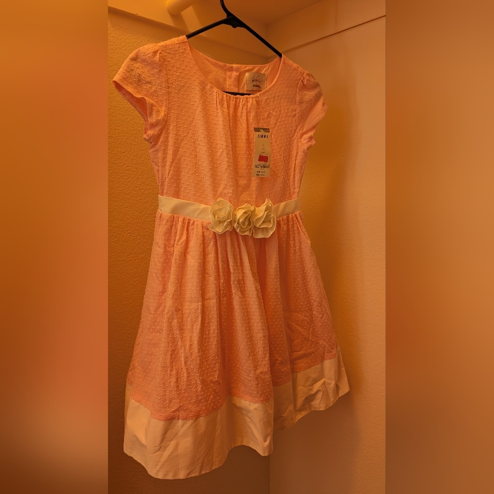 Gymboree Girls' Pink Dress with Floral Accent